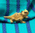 Small Horny Toad