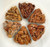 6 Divider Gourmet Pecans