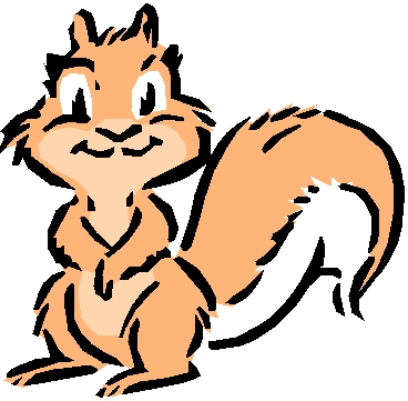 squirrel.jpg