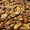 10 lb. Cracked Whole Pecans