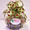 Small 2 Tier