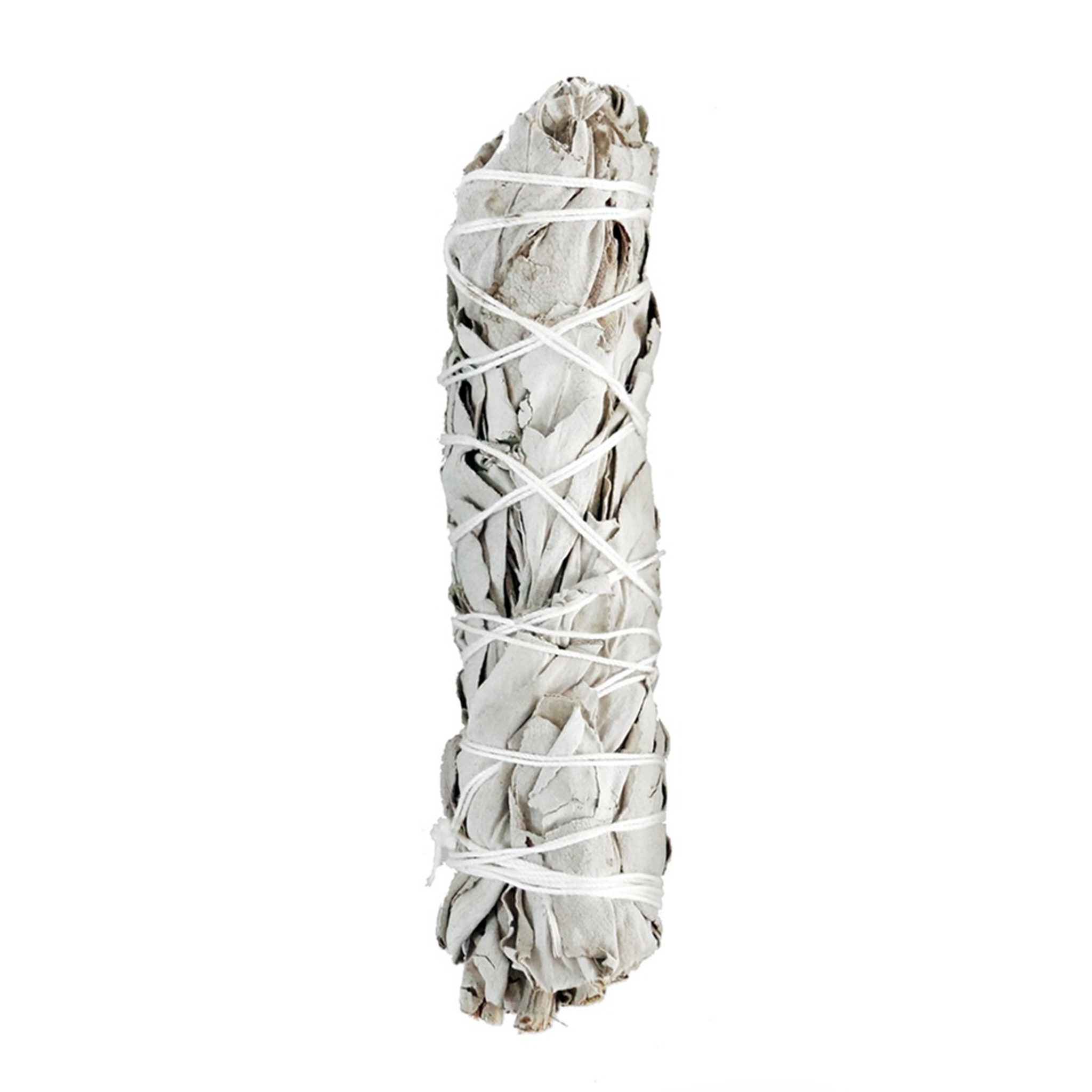 Premium White Sage Smudge Stick (XL) Hairizon Premium White Sage Smudge Stick (XL) Hairizon