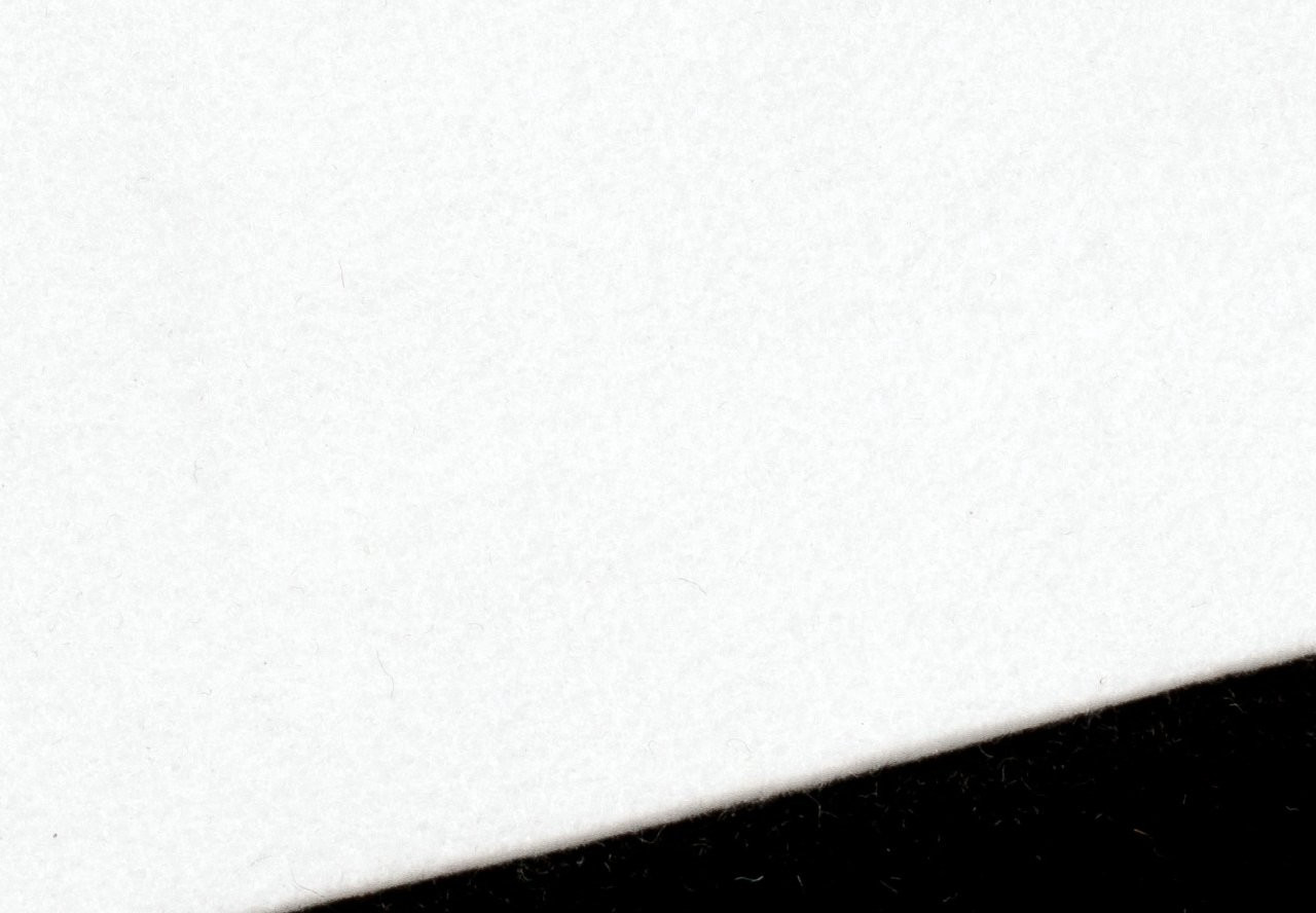 White Felt Stripping, Adhesive Backed 2 Wide x 1/16” (1.59mm) Thick, 50'  Roll - 2 Roll Minimum