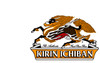 Three 500ml bottles of Kirin Ichiban Japanese imported lager beer