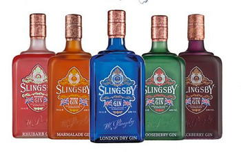 Slingsby Rhubarb Gin 50ml bottle, crafted in Harrogate with rhubarb and classic gin botanicals