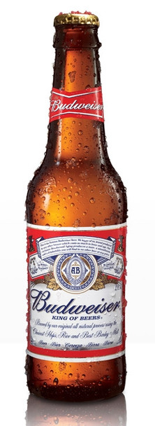 Single can of Budweiser 355 American lager beer, 330ml, 5% ABV
