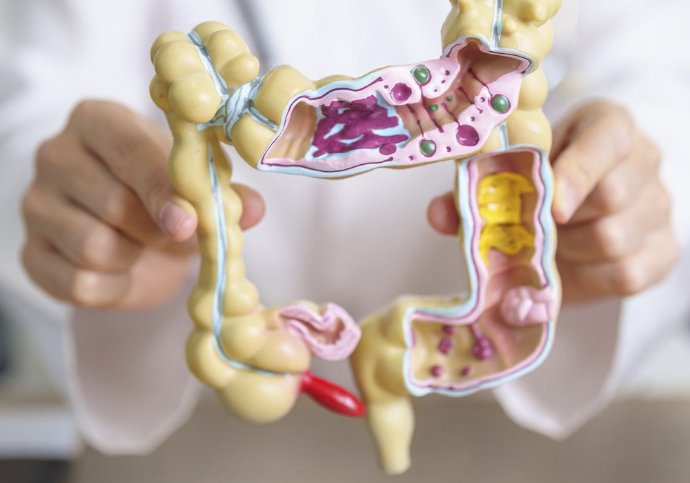 Servicio prevención cáncer colon en Farmacia Jesús Joaquín Gómez Abellán