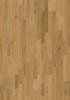 Oak  Verona 3 strip