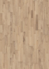 Oak Cirrus 2 strip