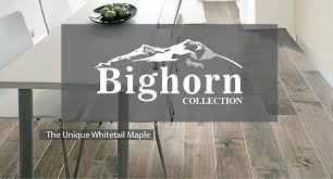 Bighorn