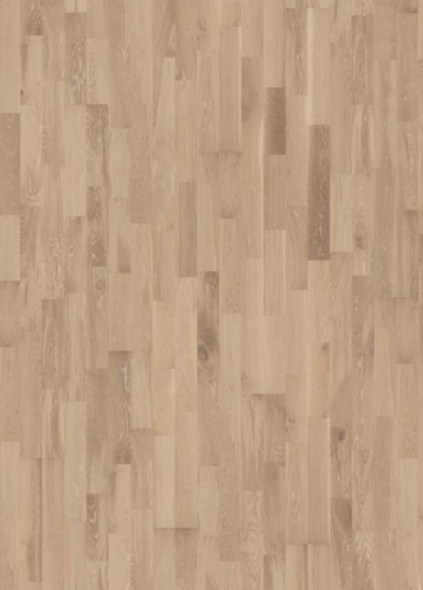 Oak Cirrus 2 strip