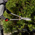 Product thumbnail view 5