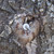 Product thumbnail view 5