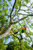 Product thumbnail view 3