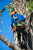 Product thumbnail view 3