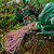 Product thumbnail view 5