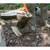 Product thumbnail view 2