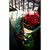 Product thumbnail view 10