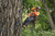 Product thumbnail view 6