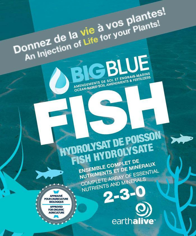 Active slide of Big Blue Fish Hydrolysate