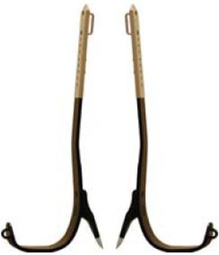 Buckingham Steel Spurs
