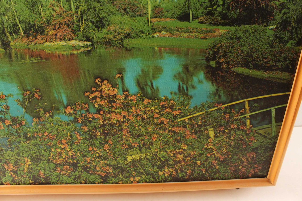 Vintage Mid Century Cypress Gardens Florida Helmscene Light Up Picture