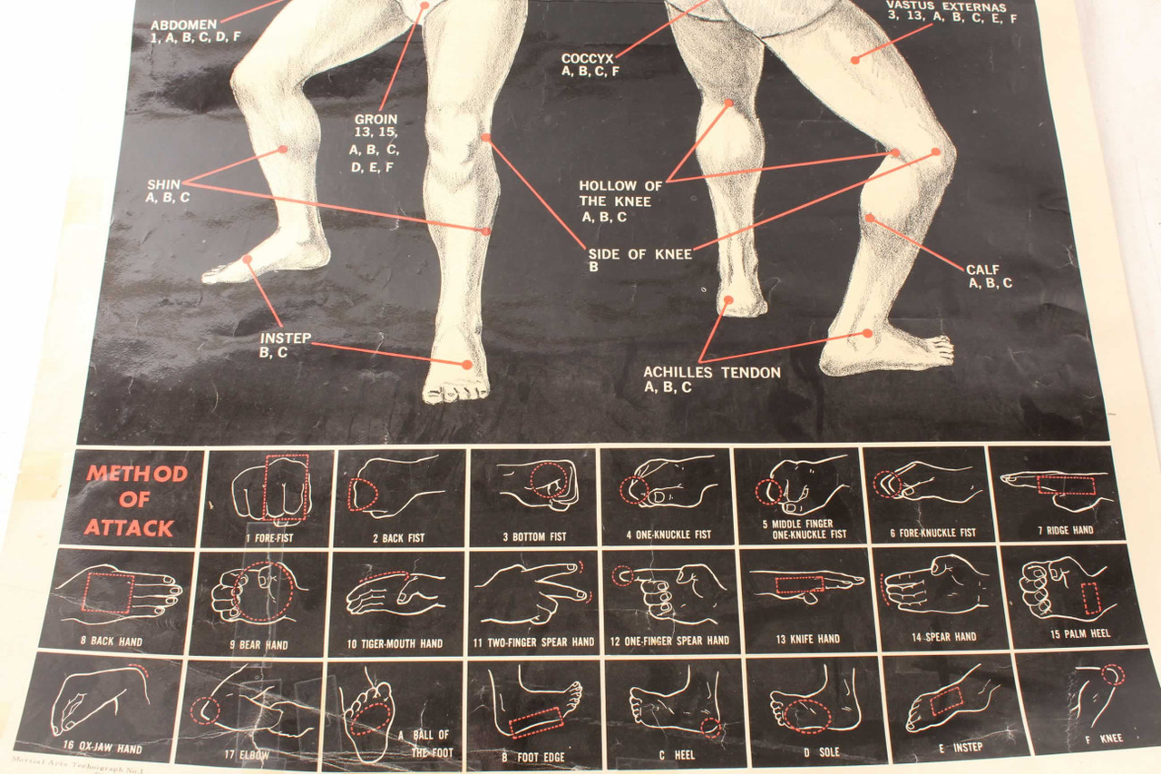 Original Vintage Martial Arts Karate Striking Points Poster Antique