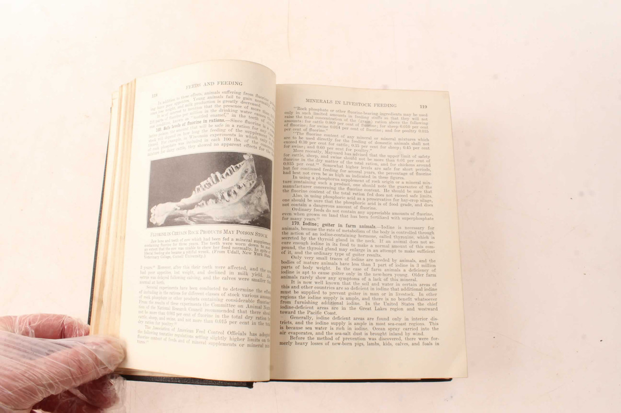 Livestock visual data 7