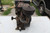 Vintage 1950's Briggs &  Stratton Model 23 Gas Engine