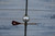 Antique Copper Lightning Rod With Red Glass Wing Pointer Arrow & Mercury Glass Ball