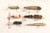 7 Vintage Fishing Lures Some 4 R Wood Creek Chub Mouse Hula Popper