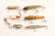 7 Vintage Fishing Lures Some 4 R Wood Creek Chub Mouse Hula Popper