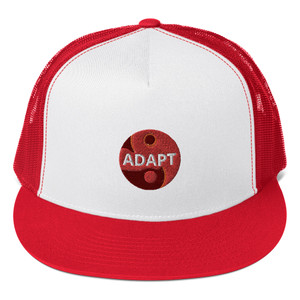 Flames of Passion ADAPT cap Flames of Passion ADAPT cap