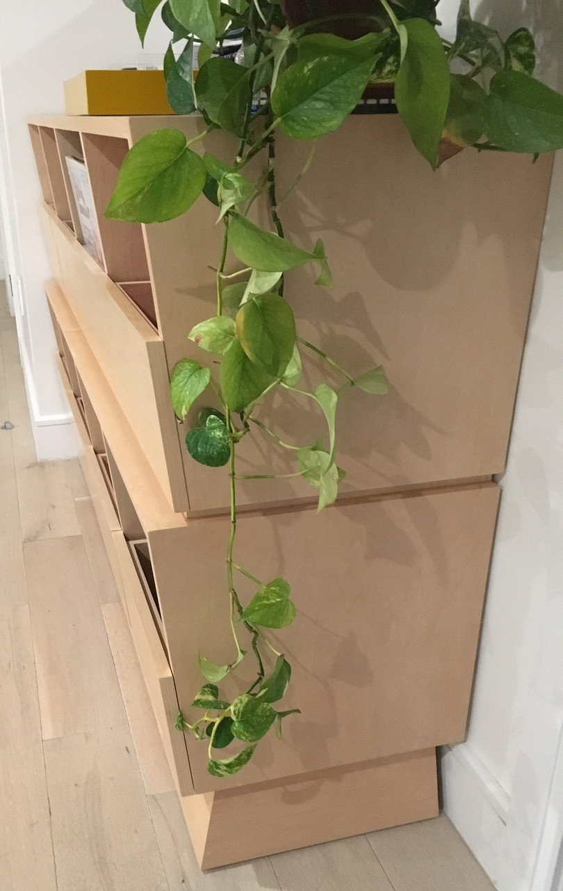 Custom LP Record Storage Drawers Gothic Furniture