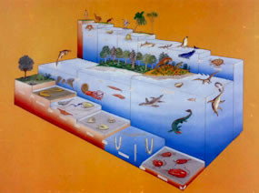 Fossils I