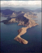 Drowned valley, Tawero Point, Pelorus Sound, Marlborough Sounds