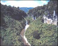 Limestone bluff, Porarari Gorge, Paparoa National Park