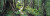 Bush, Kaitoke