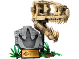 LEGO Jurassic World 76964 Dinosaur Fossils: T. rex Skull