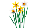 LEGO Iconic 40747 Daffodils