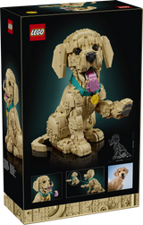 LEGO Creator 11384 Golden Retriever Puppy