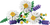 LEGO Icons 11508 Daisies