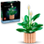 LEGO Botanicals 11504 Peace Lily
