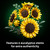 LEGO BOTANICALS 11502 Sunflower Bouquet
