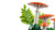LEGO Botanicals 11505 Woodland Mushrooms