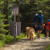 TRAIL PROVEN™ Dog Waste Station - made from recycled plastics