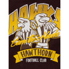 Hawthorn Toddler Supporter Long Sleeve Tee