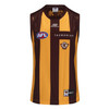 Hawthorn 2025 ISC 100 Year Mens Home Guernsey