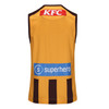 Hawthorn 2025 ISC 100 Year Mens Home Guernsey