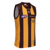 Hawthorn 2025 ISC 100 Year Mens Home Guernsey